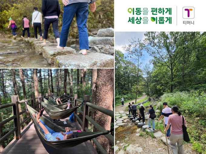블라인드 | 티머니 뉴스